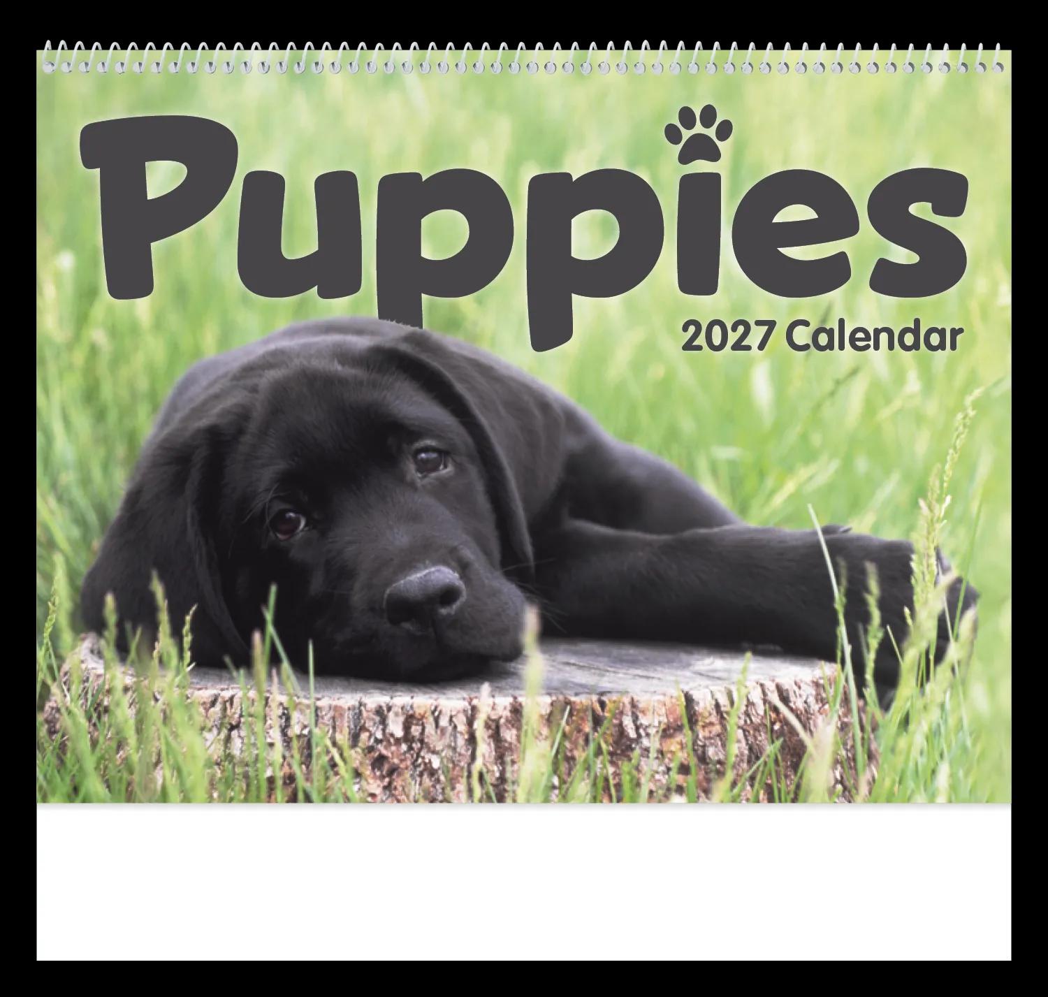 Triumph® Calendars Puppies Calendar 24 of 124