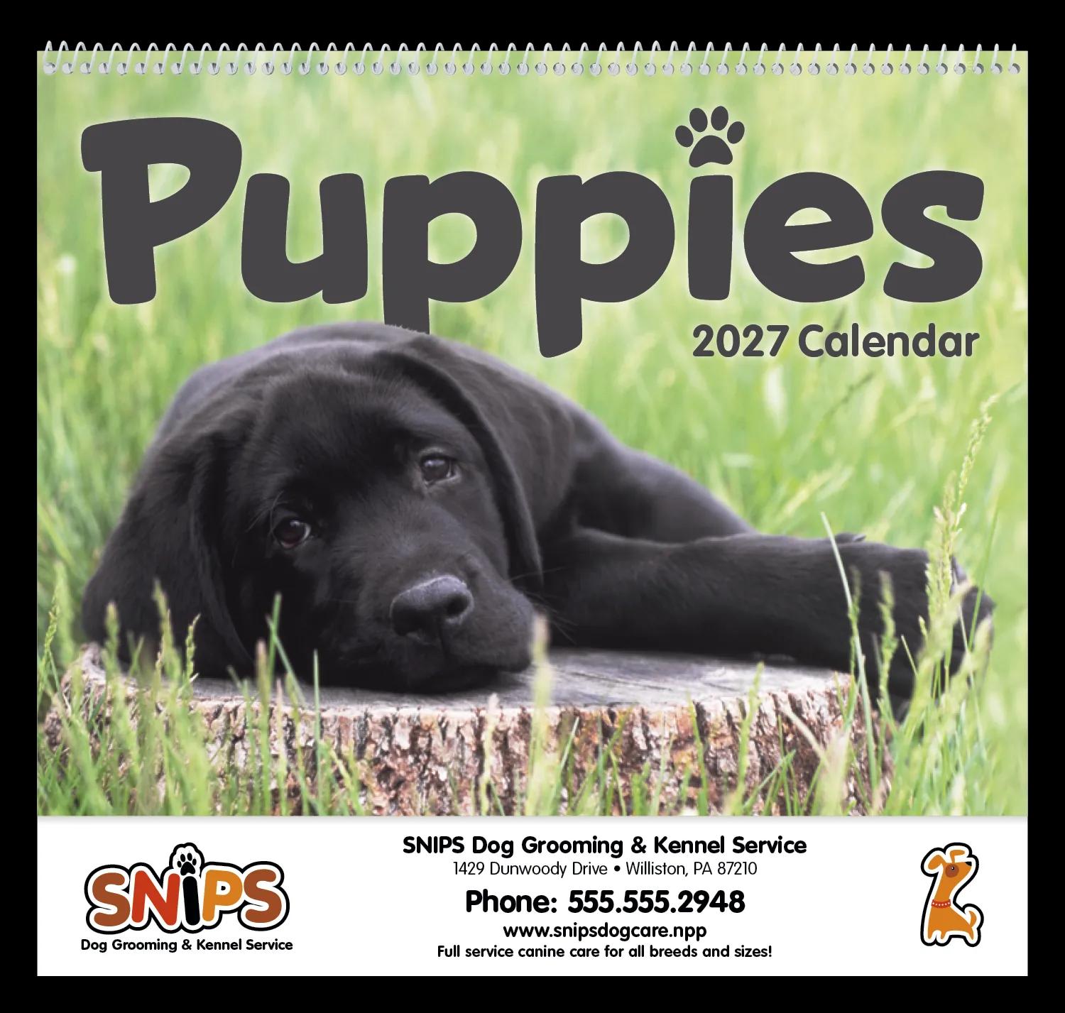Triumph® Calendars Puppies Calendar 91 of 124