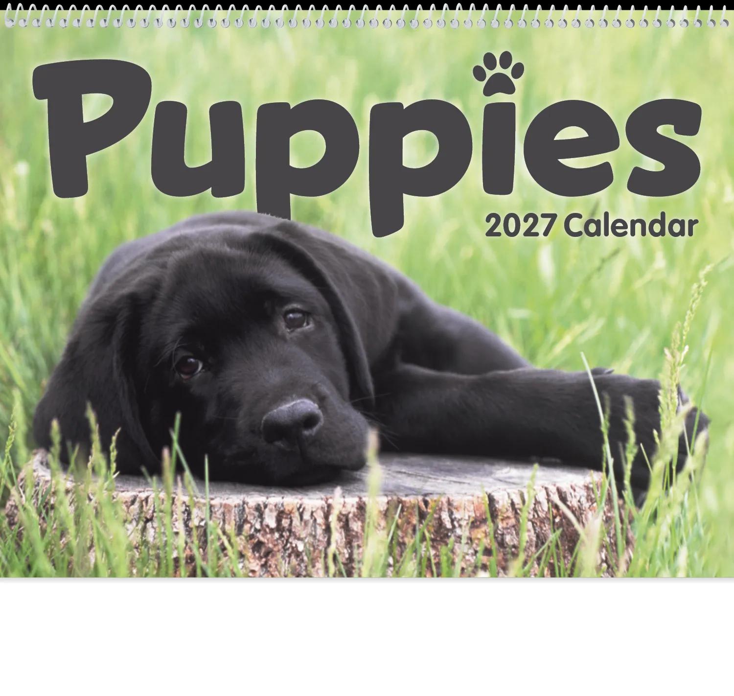 Triumph® Calendars Puppies Calendar