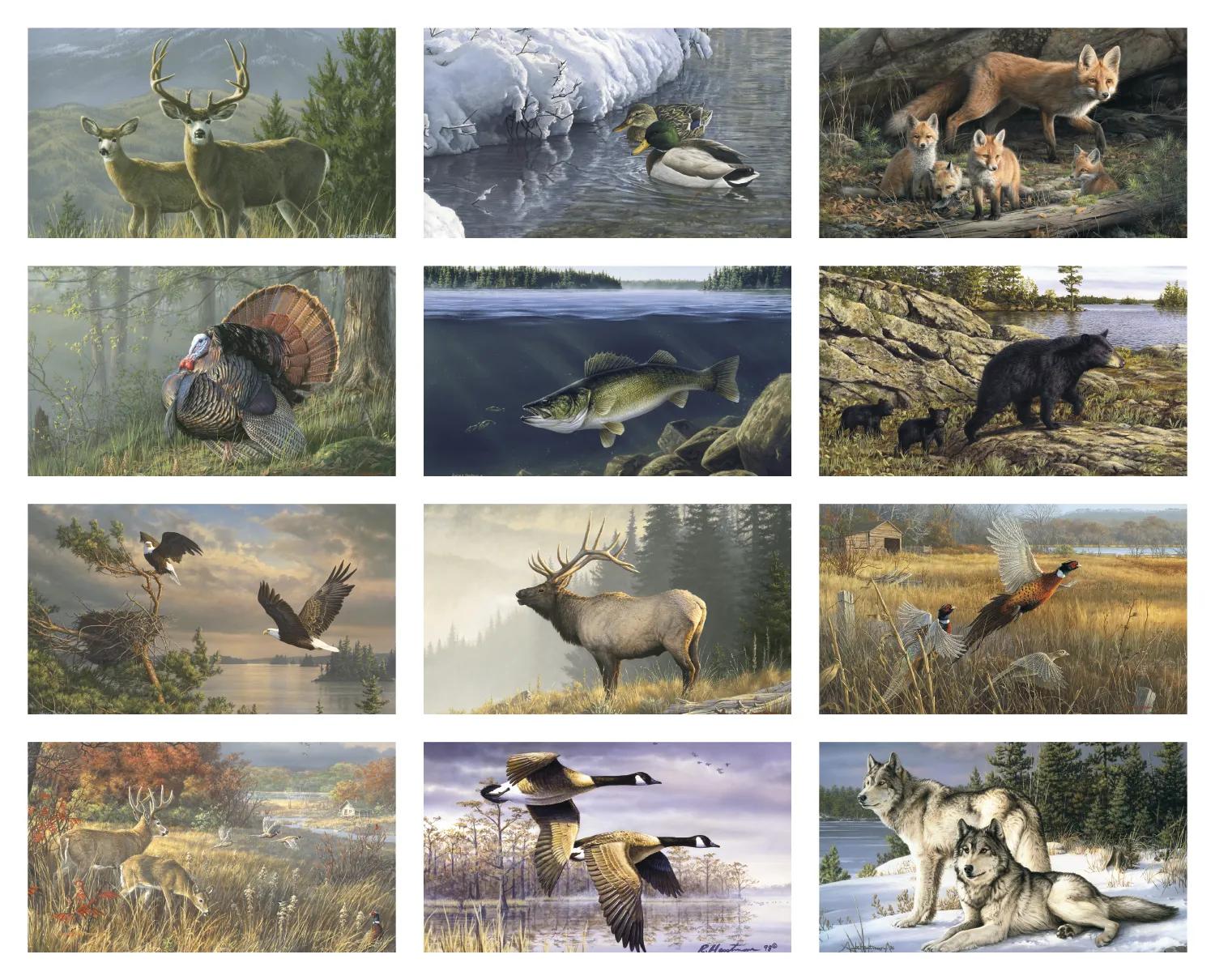 Wildlife Art by the Hautman Brothers 14 of 18