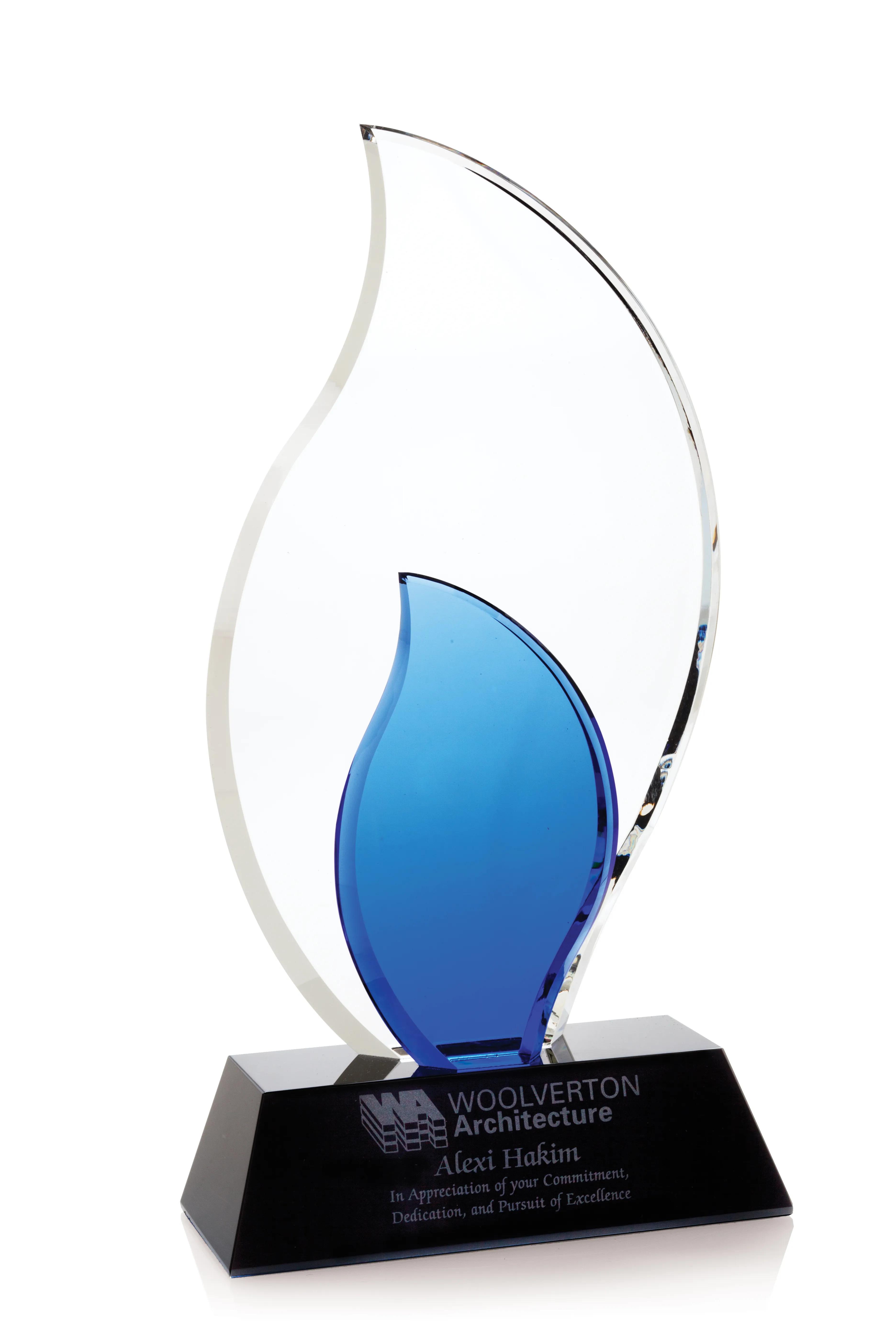 Trailblazer Award 3 of 3